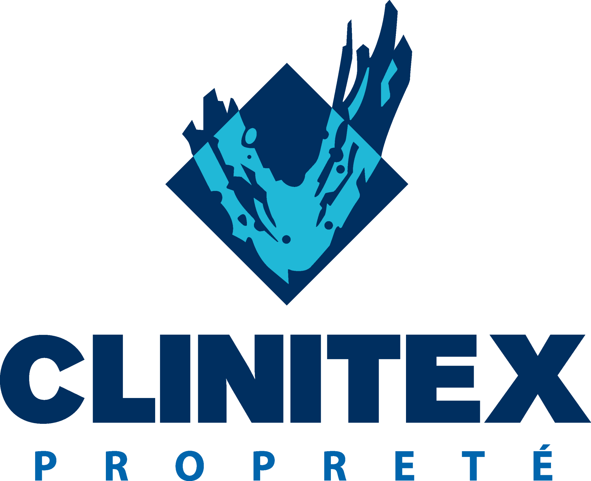 Logo clinitexpng
